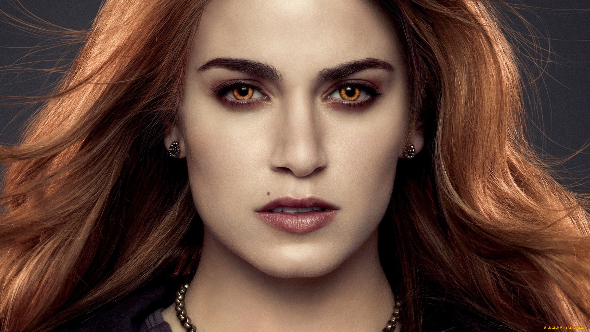  , the twilight saga,  breaking dawn part 2, 